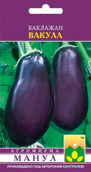 Aubergine Vakula