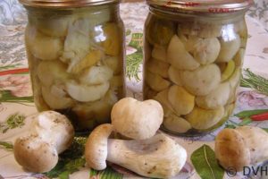 TOP 10 des recettes pour saler les champignons et les étables au lait noir de manière chaude et froide pour l'hiver