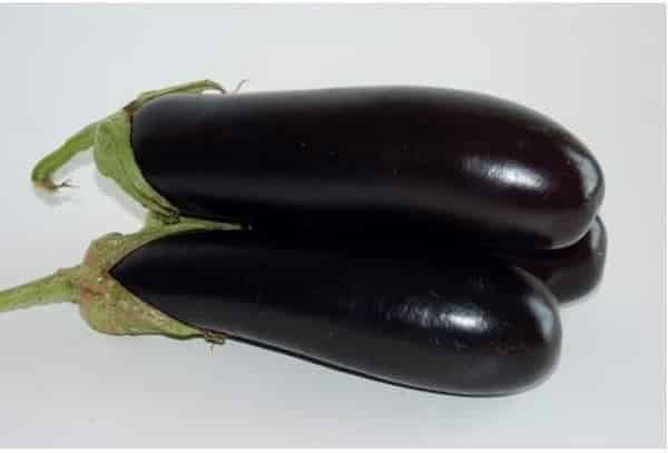 aubergines destan