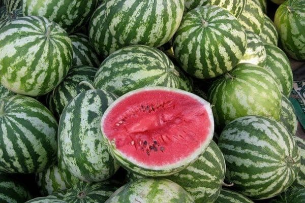 watermelon producer inside