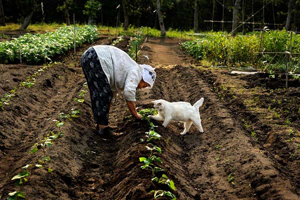 mujer trabajando en el jardin