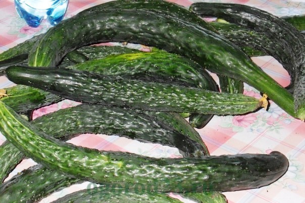 chinese cucumbers