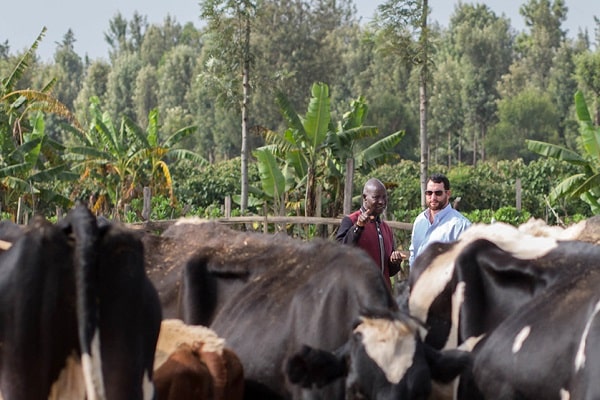 farm productivity