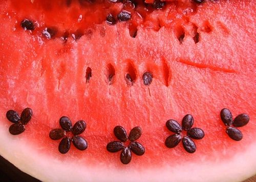 ripe watermelon