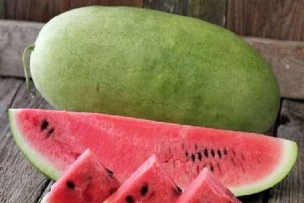 melons and gourds