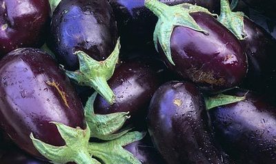 ripe eggplant