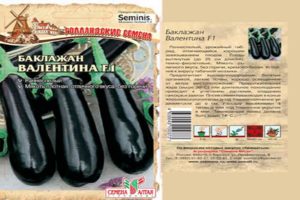 Description and characteristics of Valentine's eggplant, cultivation and care