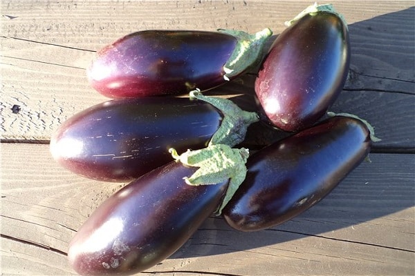 seedlings or tomatoes