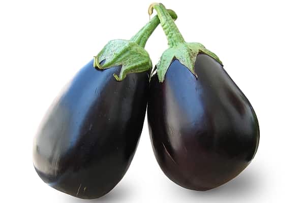 aspect d'aubergine