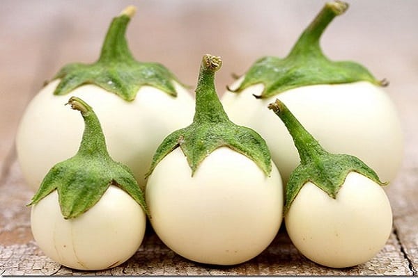 white eggplant