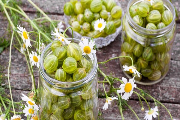 groseille pour confiture