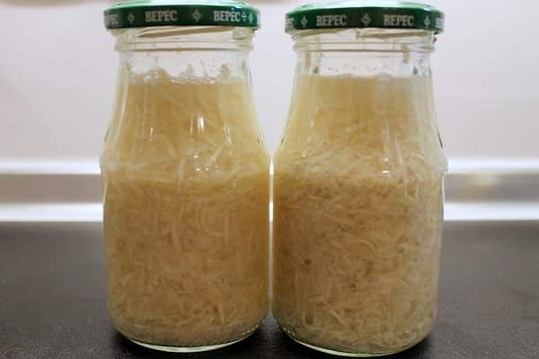 horseradish harvesting