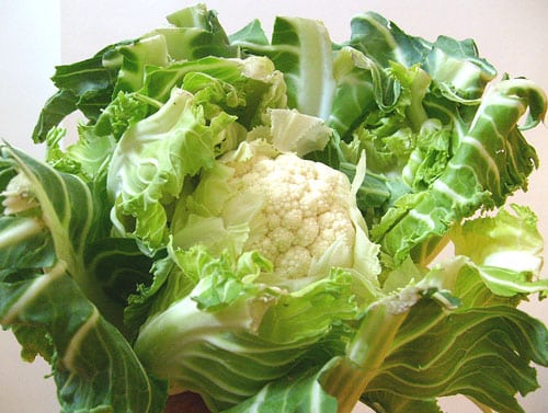 cauliflower