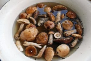 TOP 10 recipes for how to simply salt mushrooms at home, hot and cold