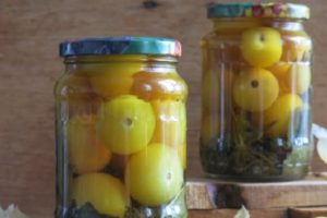 Cómo preparar physalis vegetal en casa y ¿se puede congelar para el invierno?