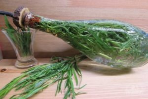 How to preserve and prepare tarragon for the winter at home, drying and freezing