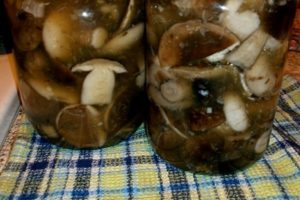 Comment saler et mariner les champignons du tremble, recettes pour l'hiver dans des bocaux