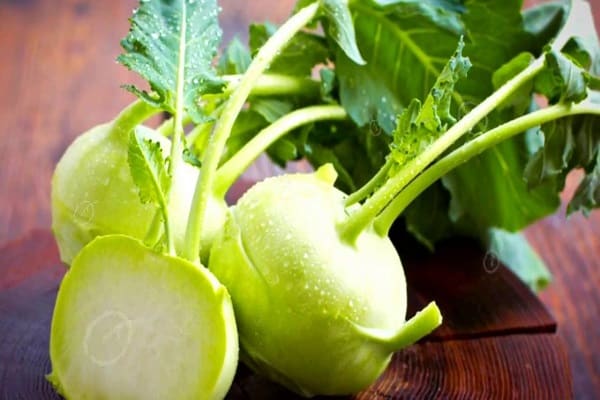 kohlrabi สำหรับฤดูหนาว