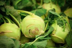 Recipes for cooking kohlrabi cabbage for the winter with and without sterilization