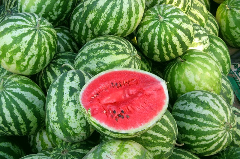 ripe watermelons