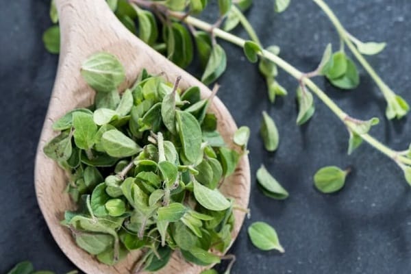 store marjoram