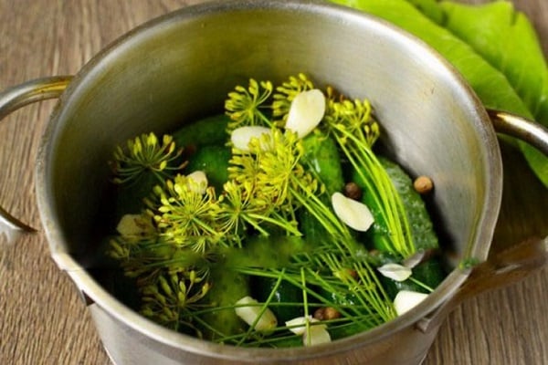 horseradish leaves