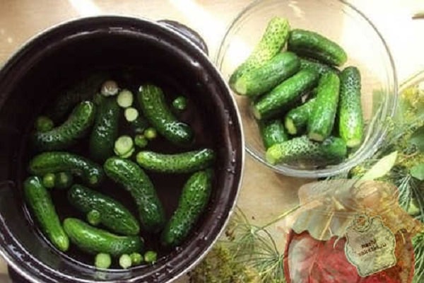 preparation of spices