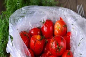 Snelle stap-voor-stap recepten voor het snel koken van licht gezouten tomaten in een zak in 5 minuten