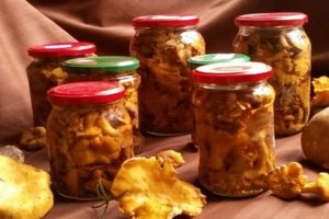 Recettes simples étape par étape pour faire des chanterelles marinées pour l'hiver à la maison