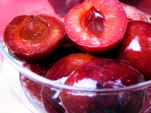 plum masak