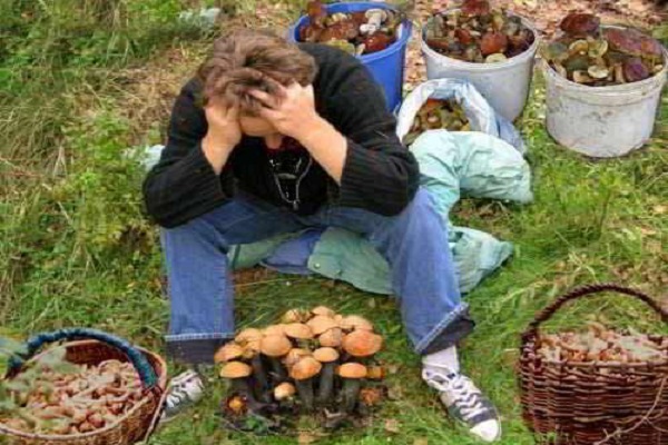 manger des champignons