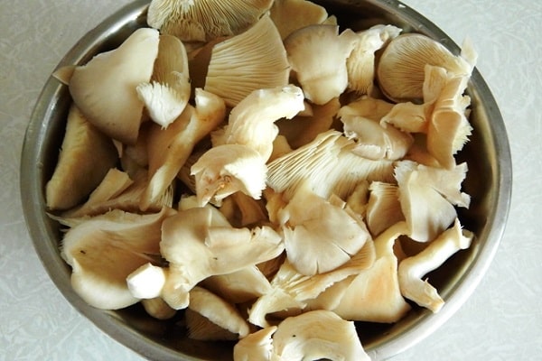 champignons à mariner