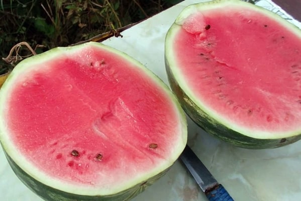 cut watermelon producer