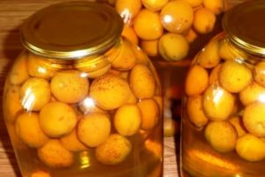 TOP 15 recipes for apricot compote with and without seeds for the winter, with and without sugar