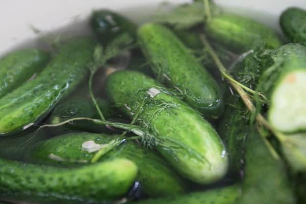 the process of cooking cucumbers