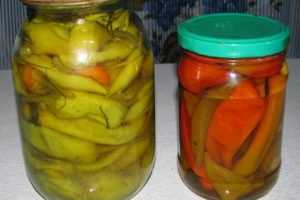 TOP 10 recipes for cooking spicy pepper for the winter, with and without sterilization