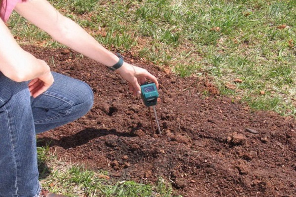 soil cultivation