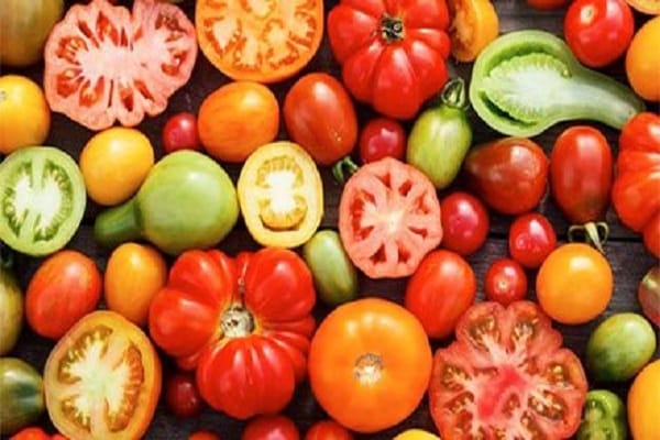 tomatoes initially