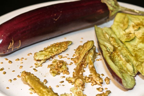 eggplant seeds