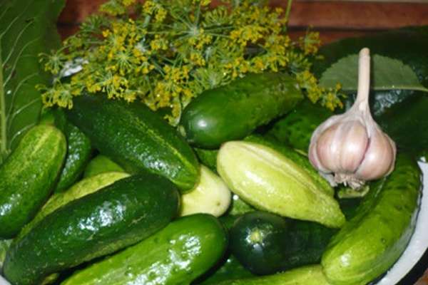 cucumbers with dill and garlic