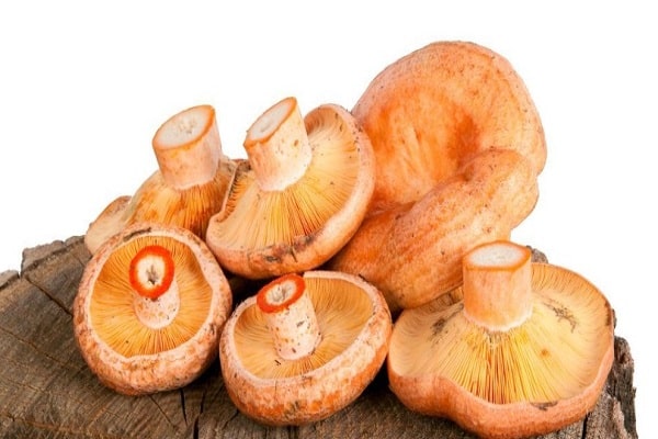 cuire des champignons