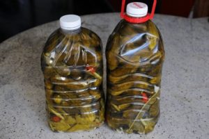 Step-by-step recipes for pickled cucumbers in plastic bottles for the winter, storage