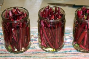 TOP 10 delicious recipes for preparing beet tops for the winter