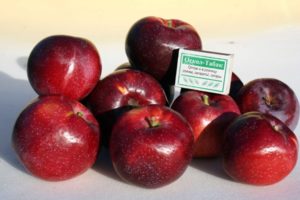 Description and characteristics of the Williams Pride apple variety, how often it bears fruit and growing regions