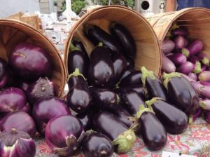 Les variétés d'aubergines les plus populaires et les plus productives pour la culture en plein champ et les règles de choix des graines