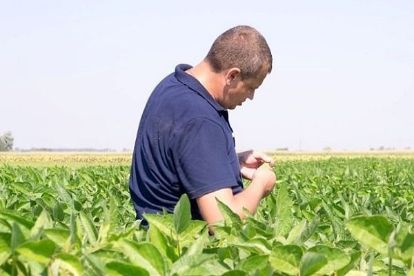 harvest