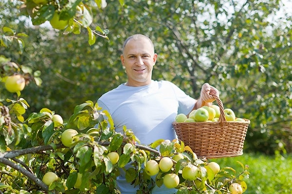 faire des jus