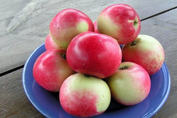 Árboles de manzana