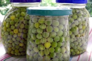 TOP 15 recipes for pickling green peas for the winter at home, with and without sterilization