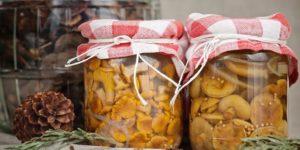 Simple step-by-step recipes for salting mushrooms at home for the winter in jars